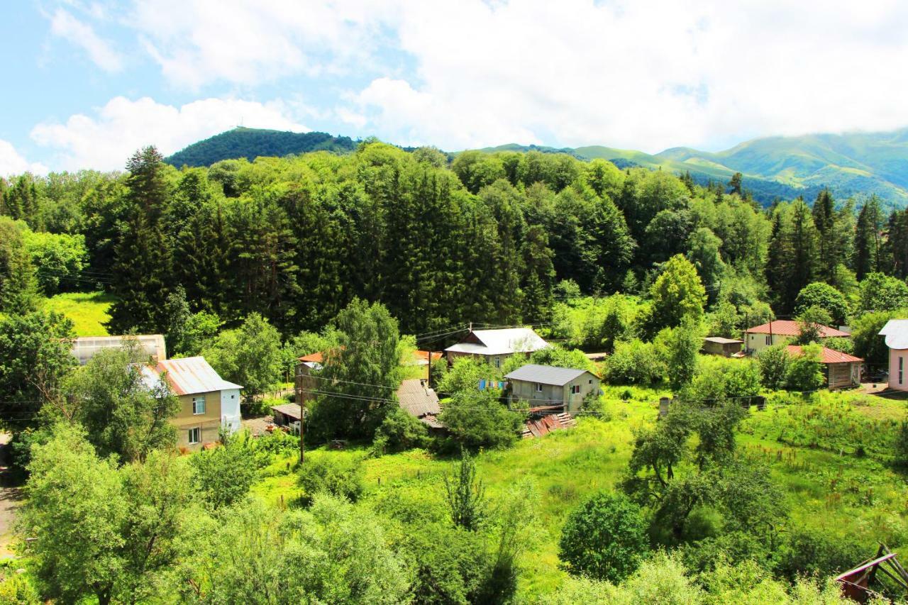 Hilltop Bakuriani Exteriér fotografie